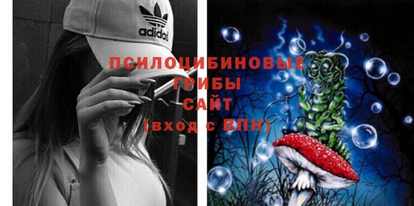 гидропоника Алексин