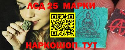 гидра Краснознаменск
