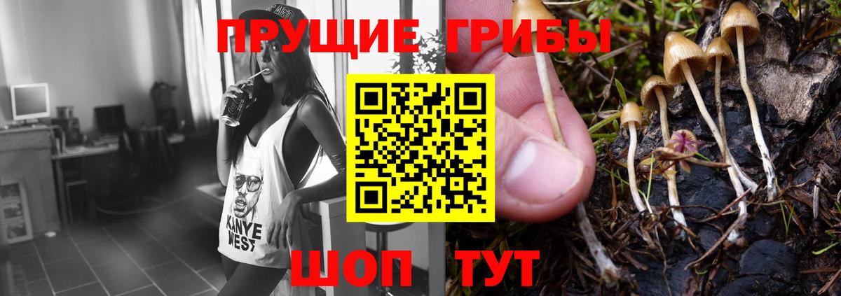 Галлюциногенные грибы GOLDEN TEACHER Псков