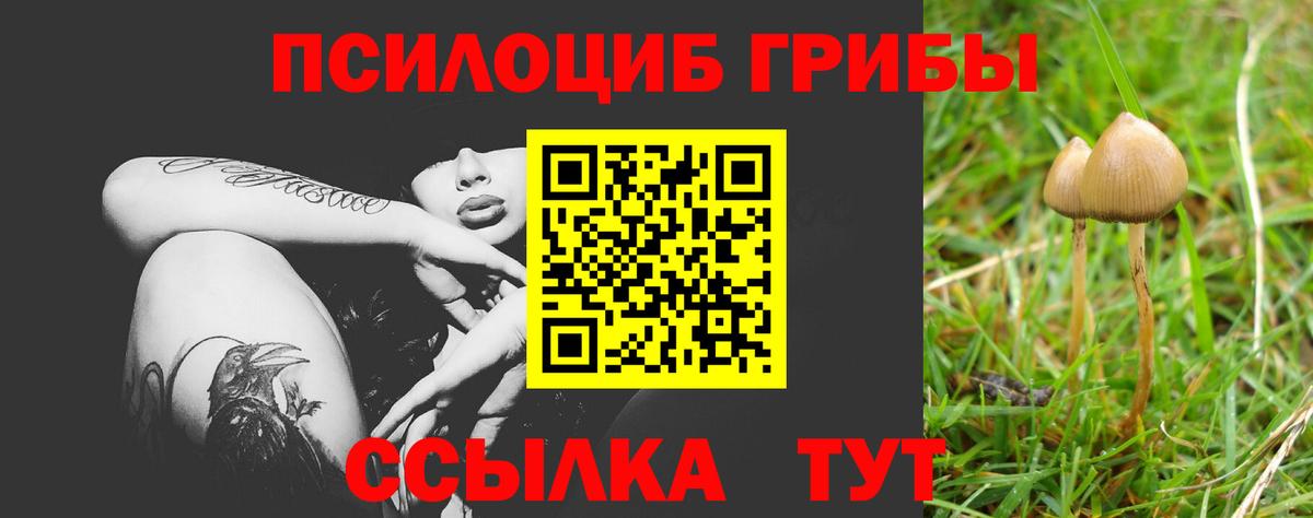 Галлюциногенные грибы MAGIC MUSHROOMS  Вход с VPN  Псков  Псилоцибиновые грибы ЛСД 