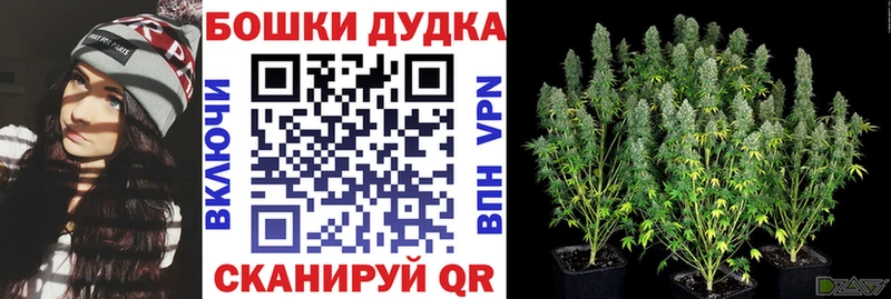 где купить наркотик  Псков  mega как войти  Конопля LSD WEED 